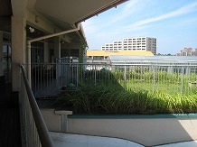 施設紹介 外廊下